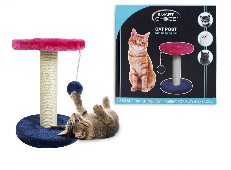 Cat Scratch Post with Ball
